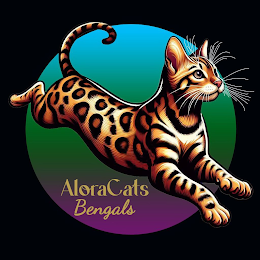 ALORACATS BENGALS