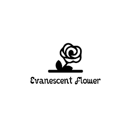 EVANESCENT FLOWER