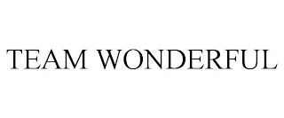 TEAM WONDERFUL