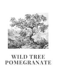 WILD TREE POMEGRANATE