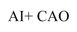 AI+ CAO