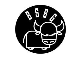 BSBG