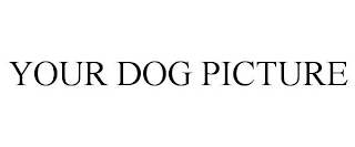 YOUR DOG PICTURE
