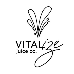 VITALIZE JUICE CO.