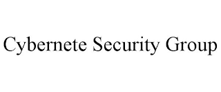 CYBERNETE SECURITY GROUP