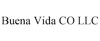 BUENA VIDA CO LLC