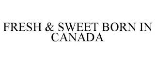 FRESH & SWEET BORN IN CANADA