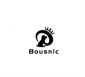 BOUSNIC