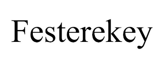 FESTEREKEY