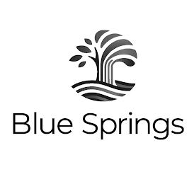 BLUE SPRINGS