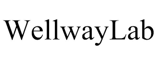 WELLWAYLAB
