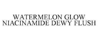 WATERMELON GLOW NIACINAMIDE DEWY FLUSH