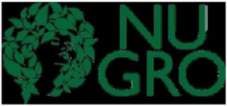 NU-GRO HAIR GRO HAIR LIKE CRAZY