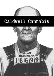 CALDWELL CANNABIS COLA STATE PEN 18699