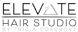 ELEVATE HAIR STUDIO BY TRICIA COSGROVE