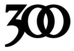 300 ENTERTAINMENT LLC