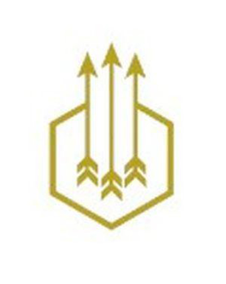 Tax Professionals P.C.