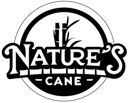 Nature's Cane Foods, LLC