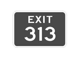 EXIT 313 trademark