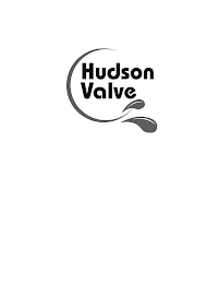 HUDSON VALVE