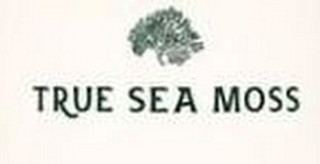 TRUE SEA MOSS