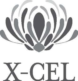 X-CEL