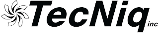 TECNIQ INC