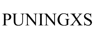 PUNINGXS