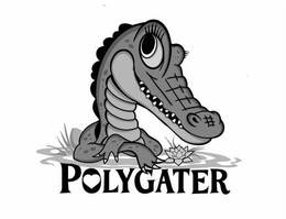 POLYGATER