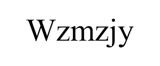 WZMZJY