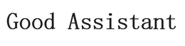 GOOD ASSISTANT