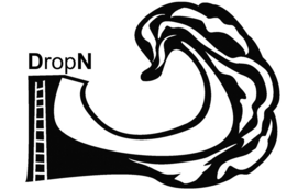DROPN