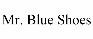 MR. BLUE SHOES