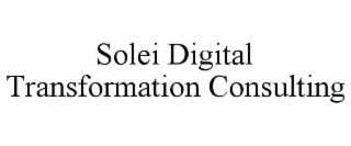 SOLEI DIGITAL TRANSFORMATION CONSULTING