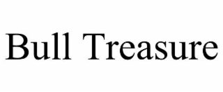 BULL TREASURE