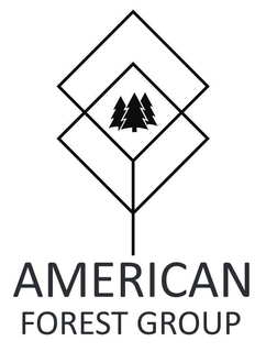 AMERICAN FOREST GROUP