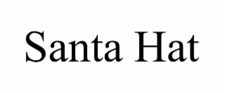 SANTA HAT