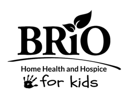 BRiO Idaho Healthcare LLC