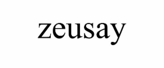 ZEUSAY
