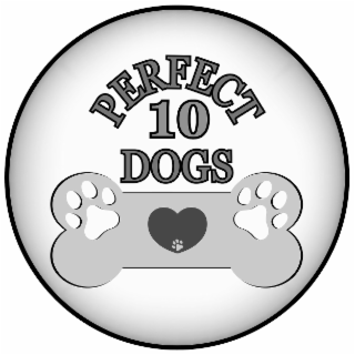 PERFECT 10 DOGS