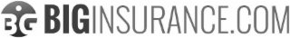 BIG BIGINSURANCE.COM