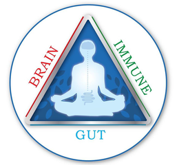BRAIN IMMUNE GUT