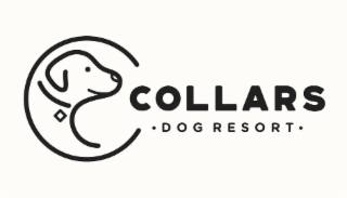 COLLARS DOG RESORT