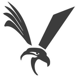 The Veterans Afield Foundation