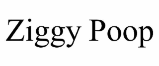 ZIGGY POOP