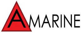 A MARINE