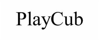 PLAYCUB