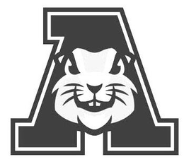 Abilene Sports and Entertainment LLC