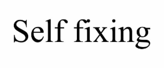 SELF FIXING