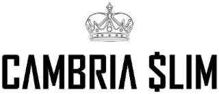 CAMBRIA $LIM